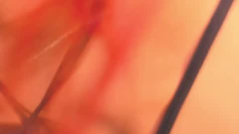 KarinaBelov  online show from February 18, 2025, 8:16 am