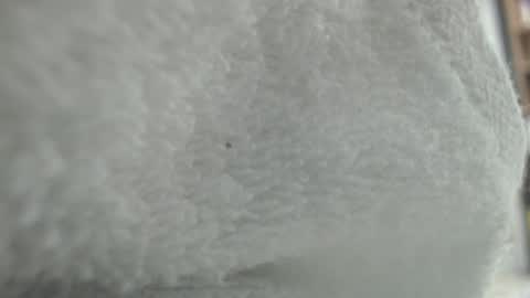 Karin online show from January 20, 2025, 11:35 am