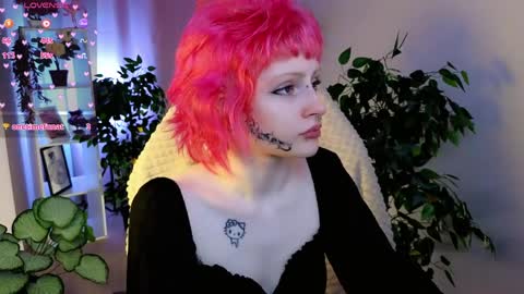 karkadeshk online show from April 9, 2026, 4:23 pm