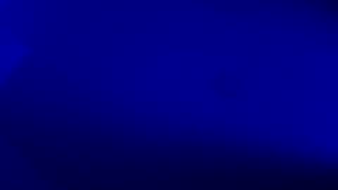 Karla Gonzaless online show from November 22, 2025, 8:13 am