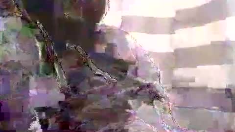 Karlos Montoya online show from January 1, 2025, 10:54 am