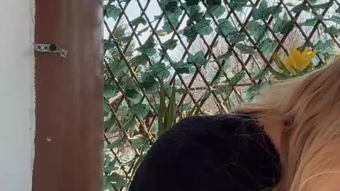 karoline121 online show from March 17, 2026, 9:12 am