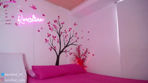 Snapshot of karolkat_1 chatting on January 27, 2025, 4:22 pm Karolina 3 online show from January 27, 2025, 4:22 pm