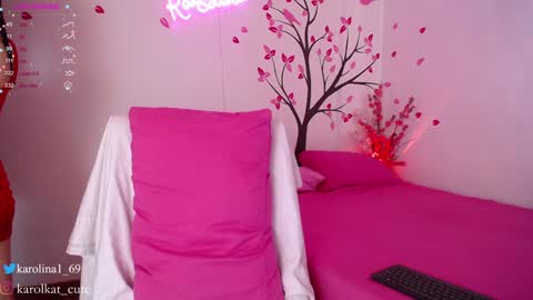 Snapshot of karolkat_1 chatting on January 28, 2025, 12:54 pm Karolina 3 online show from January 28, 2025, 12:54 pm