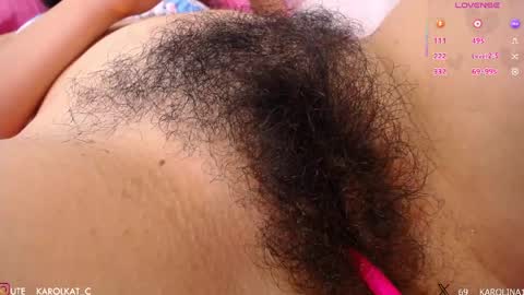 Karolina 3 online show from April 29, 2026, 5:30 pm