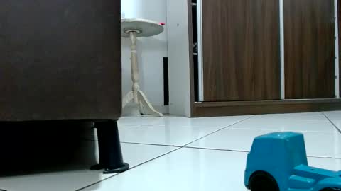 Tamires e Maicon online show from October 9, 2025, 8:29 pm