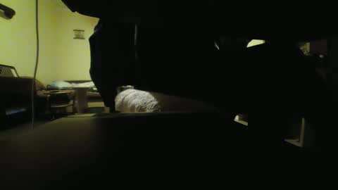 Stojko online show from October 18, 2025, 8:09 pm