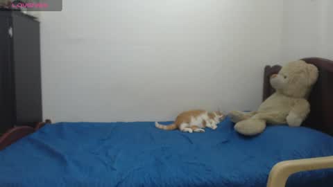 Snapshot of kate_leex chatting on June 17, 2026, 6:53 pm kate_leex online show from June 17, 2026, 6:53 pm