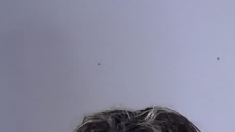 Help me with rate thanks  online show from February 2, 2025, 4:48 am