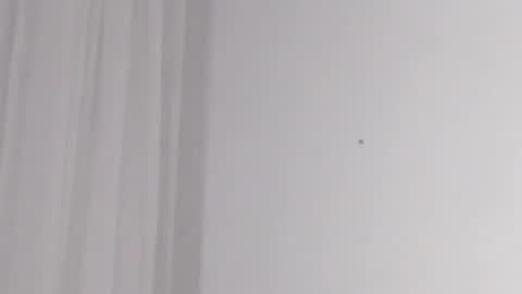 Help me with rate thanks  online show from February 16, 2025, 5:15 am