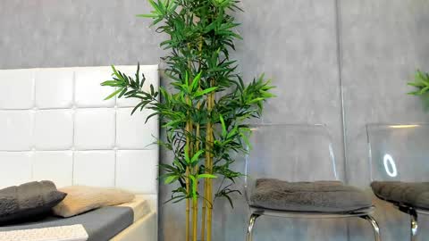 Kate online show from February 15, 2025, 9:38 am