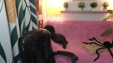 kathie_lozada online show from October 31, 2025, 6:03 am