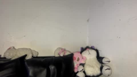 Snapshot of kattia_23 chatting on March 16, 2026, 3:23 am kattia online show from March 16, 2026, 3:23 am