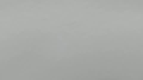 katy blonde girl and paola big boobs online show from December 20, 2024, 1:47 am