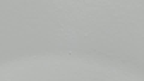 katy blonde girl and paola big boobs online show from January 9, 2025, 2:01 am