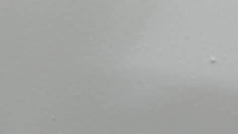 katy blonde girl and paola big boobs online show from February 18, 2025, 8:03 pm