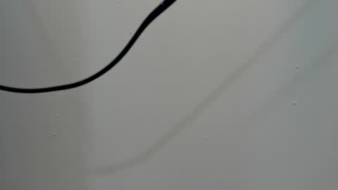 katy blonde girl and paola big boobs online show from March 3, 2025, 8:00 pm