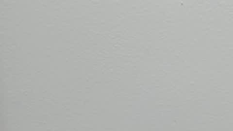 katy blonde girl and paola big boobs online show from September 24, 2025, 7:28 pm