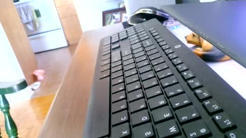kawa98karbu online show from June 27, 2026, 12:44 pm