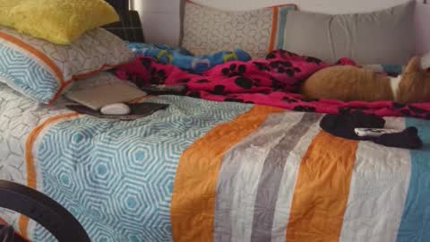  Khawit  online show from September 14, 2025, 12:15 pm