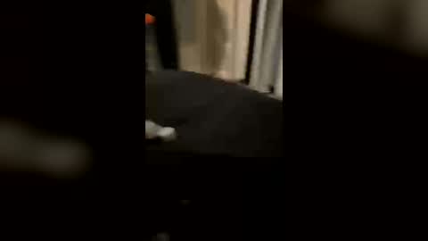 Sweet Slut online show from June 30, 2026, 9:54 am