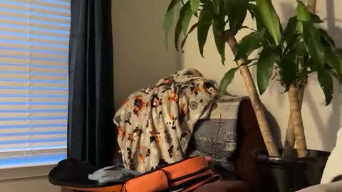 Keaton Keller online show from October 17, 2025, 10:56 pm