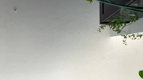 keepquietj online show from January 17, 2025, 7:38 pm