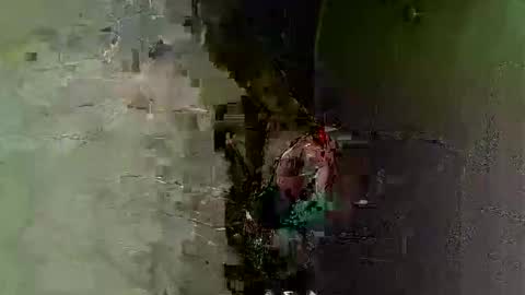 keipi online show from December 7, 2024, 12:08 am