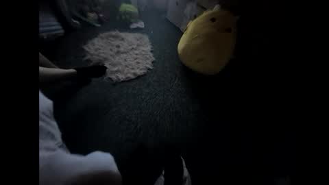 kellyleeee69 online show from April 25, 2026, 11:57 pm