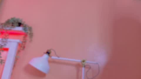   online show from April 21, 2026, 9:04 am