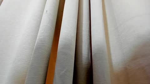 Kendal  online show from December 27, 2024, 2:22 pm