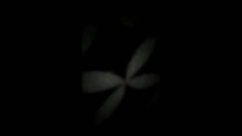 kenzo6140 online show from April 7, 2026, 12:33 am