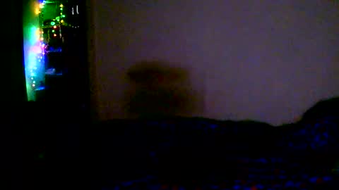 kev online show from February 15, 2026, 12:07 am