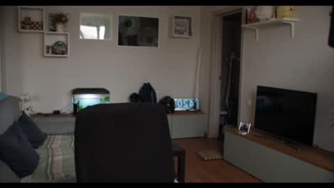 Kev online show from February 17, 2025, 12:05 pm