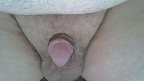 maggot online show from March 8, 2025, 8:22 am