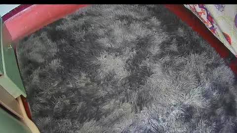 Keyla online show from February 25, 2026, 6:17 pm