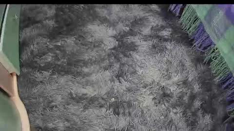 Keyla online show from April 18, 2026, 4:22 pm