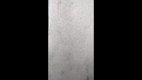 Khushipussy online show from April 7, 2026, 2:28 pm