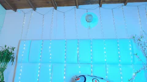    N         M online show from January 26, 2025, 11:28 am