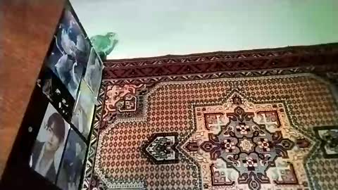 kikibang_ online show from November 20, 2025, 8:14 am