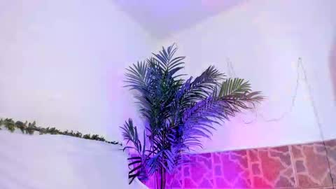 kimberly gonzalez online show from December 3, 2024, 9:33 am