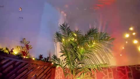 kimberly gonzalez online show from December 14, 2024, 7:07 am