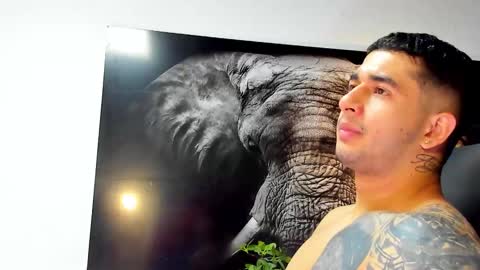 Angel Falconer online show from November 21, 2025, 3:05 am