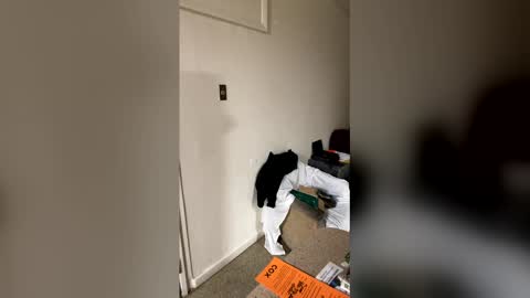 kingecstasyxxxddd online show from January 16, 2026, 8:51 am