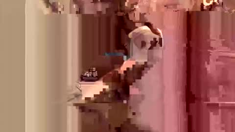 kingslimfresh online show from March 24, 2026, 1:10 am