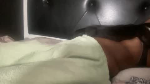 Bunniii online show from February 3, 2025, 5:40 am