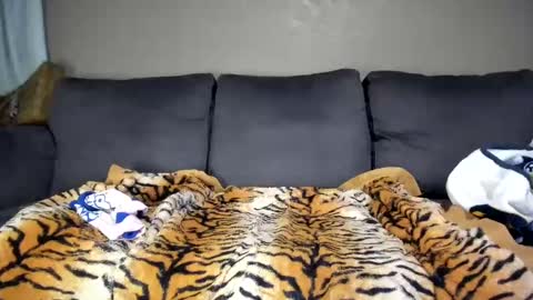 Kinky online show from February 11, 2025, 12:16 pm