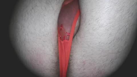 Snapshot of kinkyrisque chatting on July 4, 2026, 9:04 am Xoxxxo online show from July 4, 2026, 9:04 am