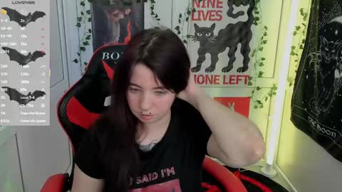 meow online show from May 22, 2026, 12:22 pm