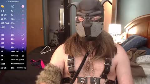 kinkywolf87 online show from January 27, 2025, 8:49 pm